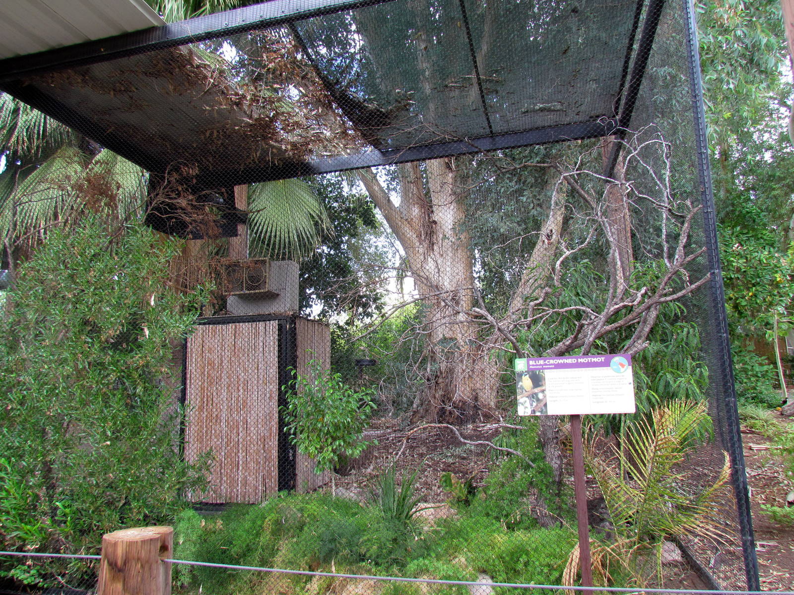Tropics Trail - Gilbert Aviaries