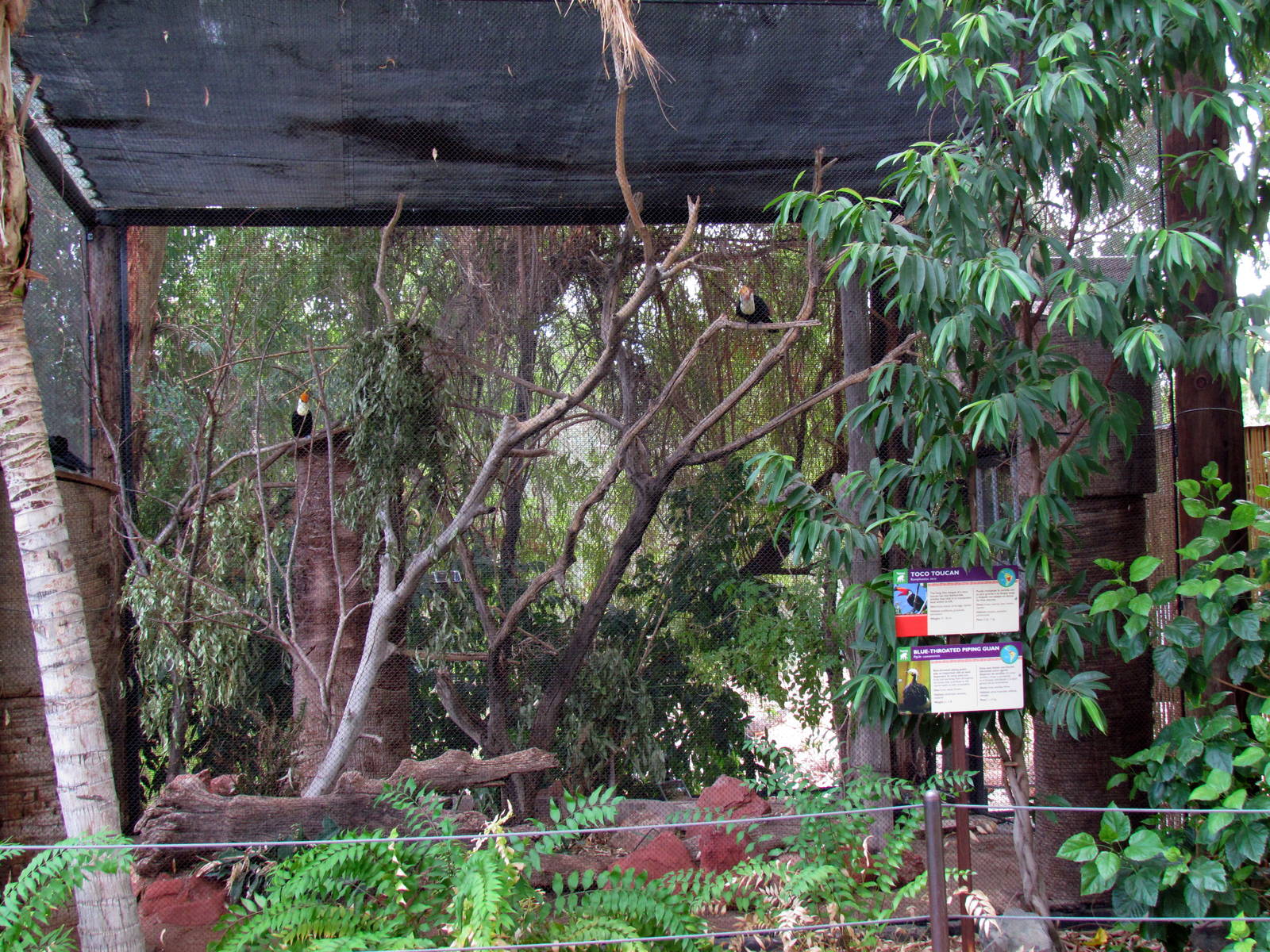 Tropics Trail - Gilbert Aviaries