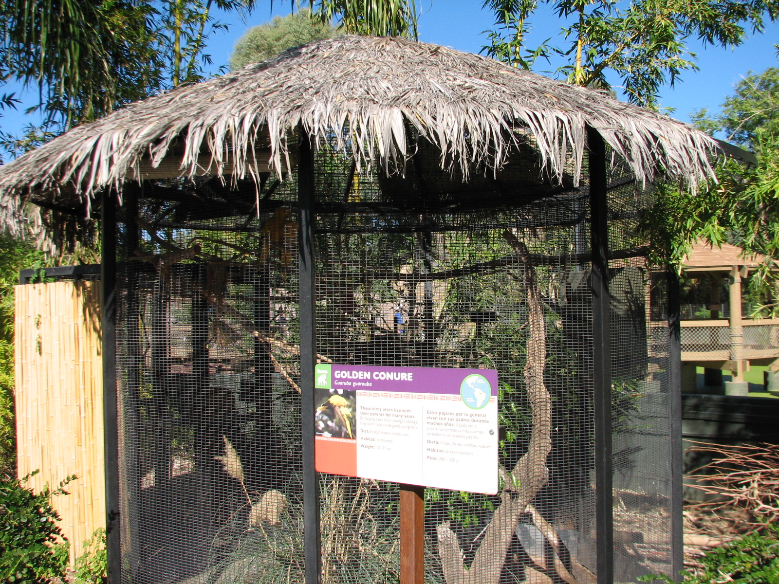 Tropics Trail - Golden Conure Exhibit