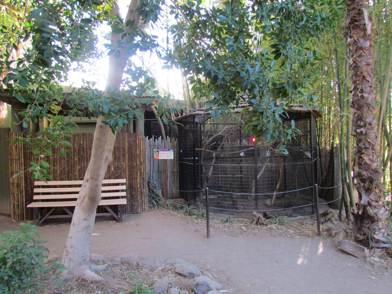 Tropics Trail - Golden Lion Tamarin Exhibit