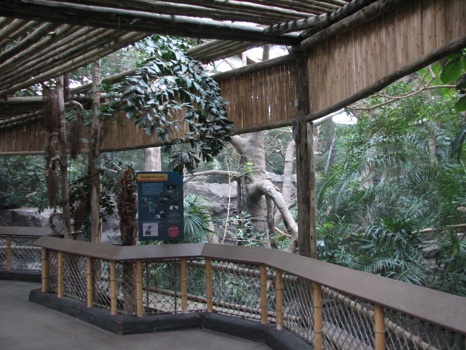 Tropics Trail - Great Hornbill Exhibit Viewing Area