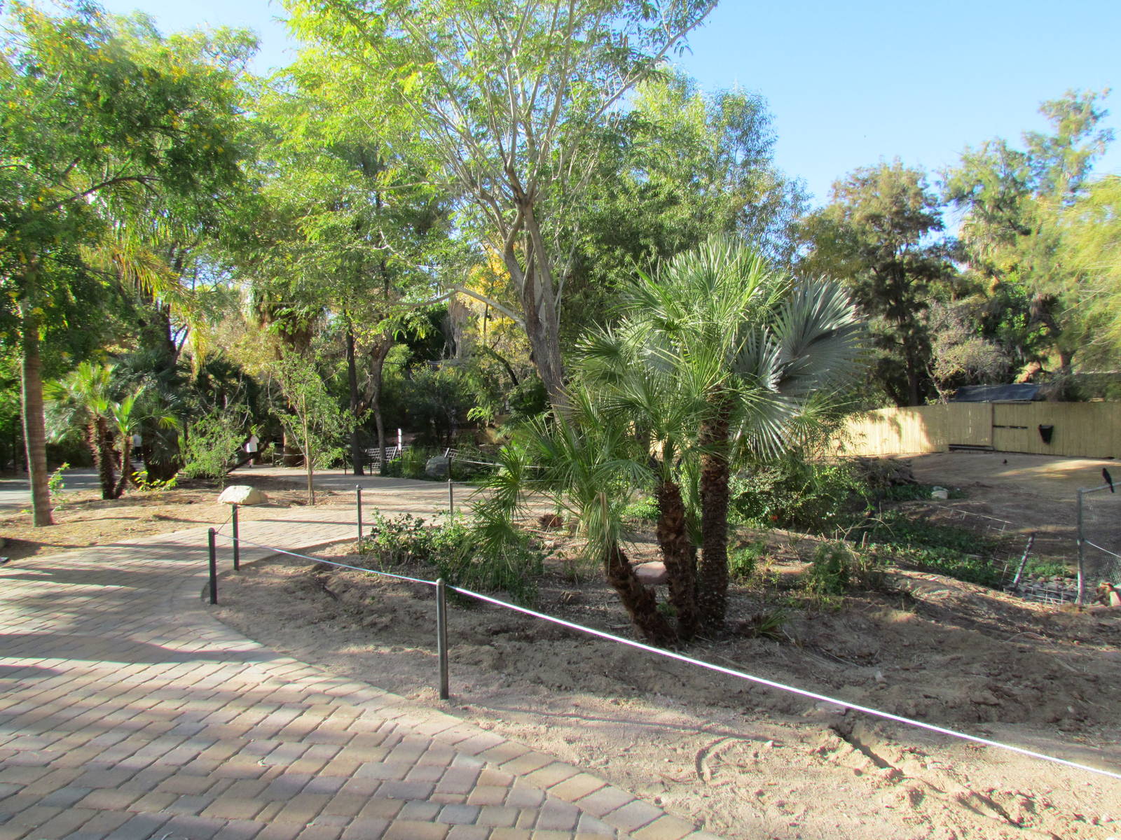 Tropics Trail - Greater Rhea Exhibit