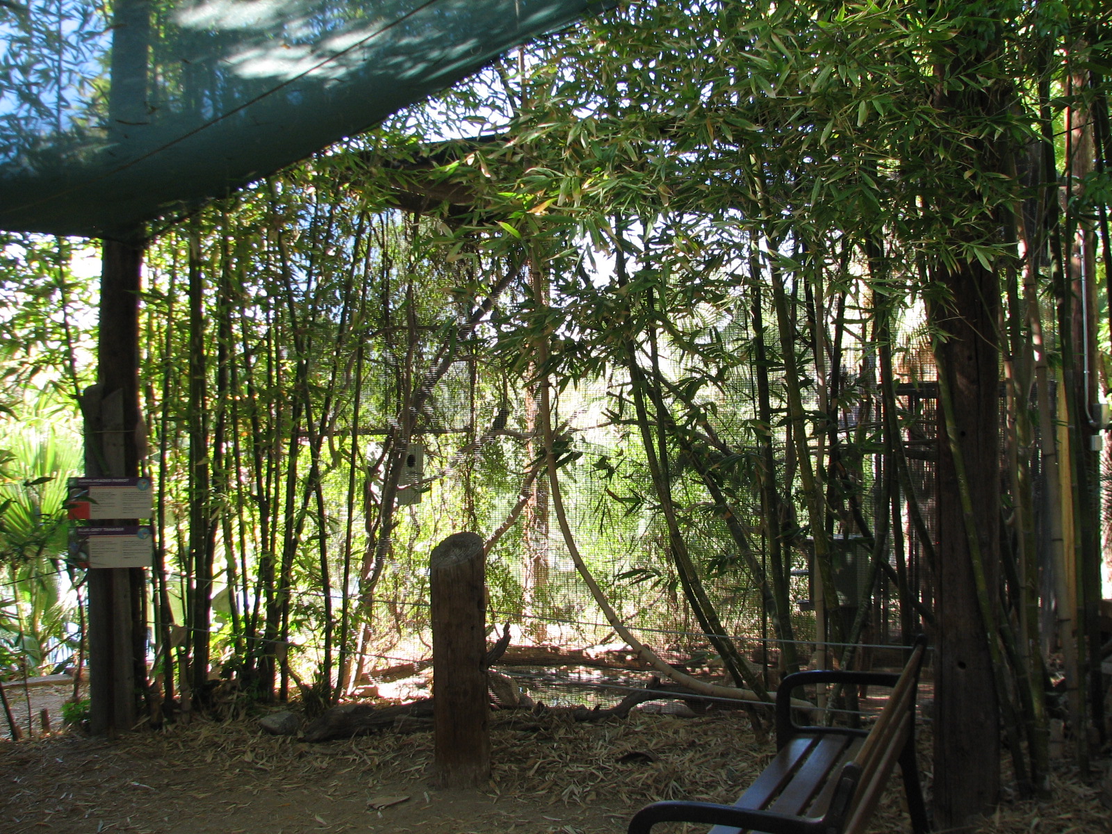 Tropics Trail - Hawk-headed Parrot and Blue-grey Tanager Exhibit