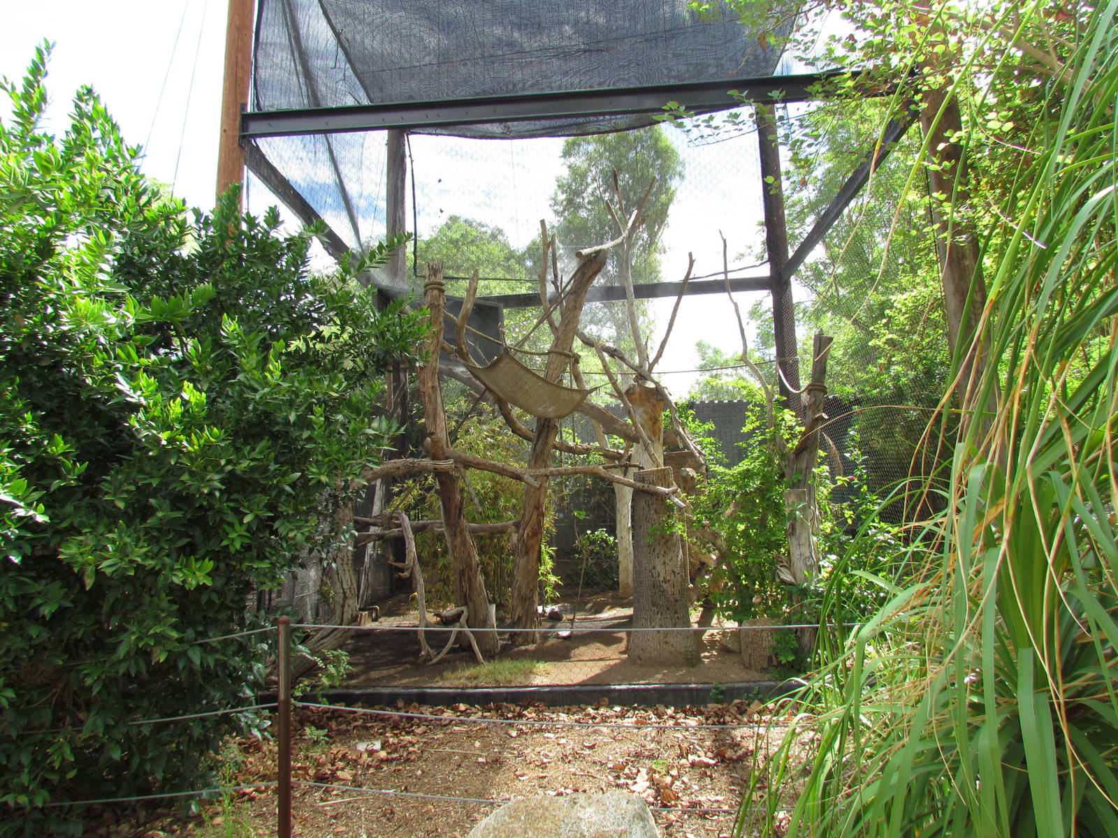 Tropics Trail - Howler Exhibit