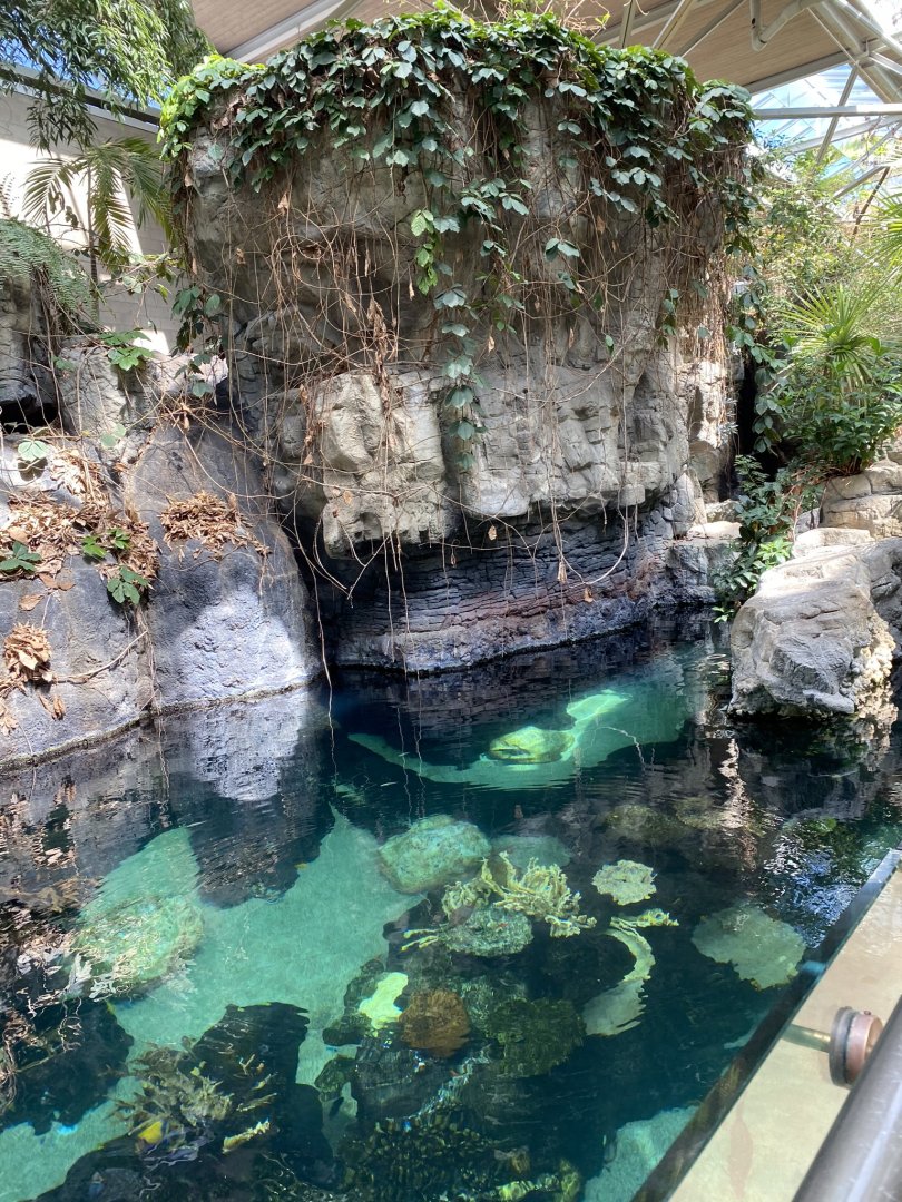 Tropics trail- indo-pacific tropical reef