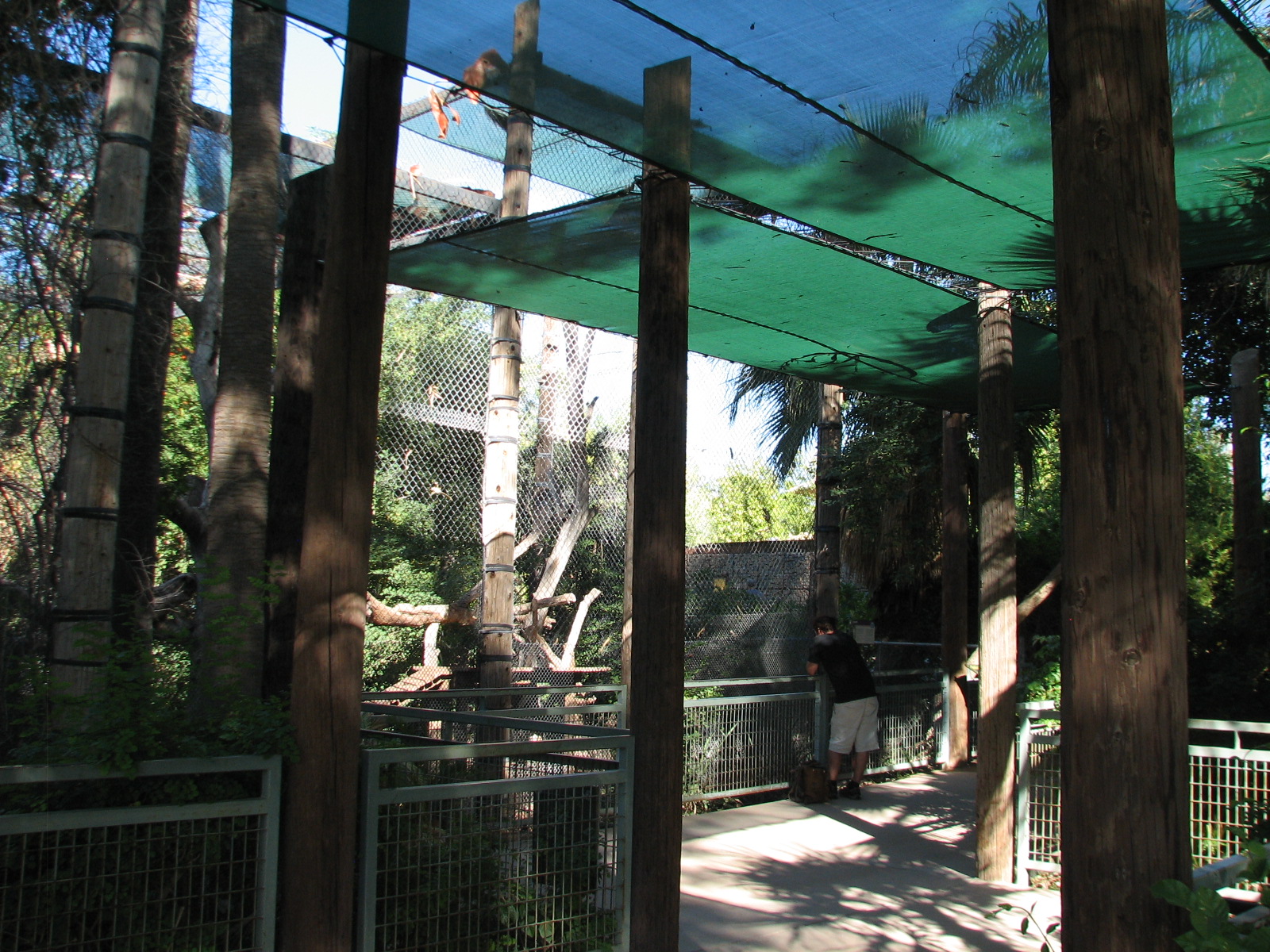 Tropics Trail - Jaguar Exhibit