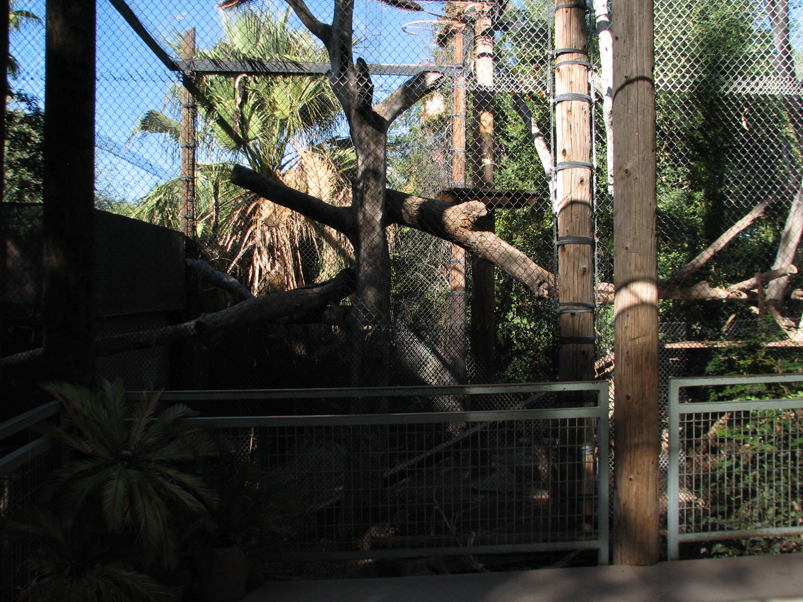 Tropics Trail - Jaguar Exhibit