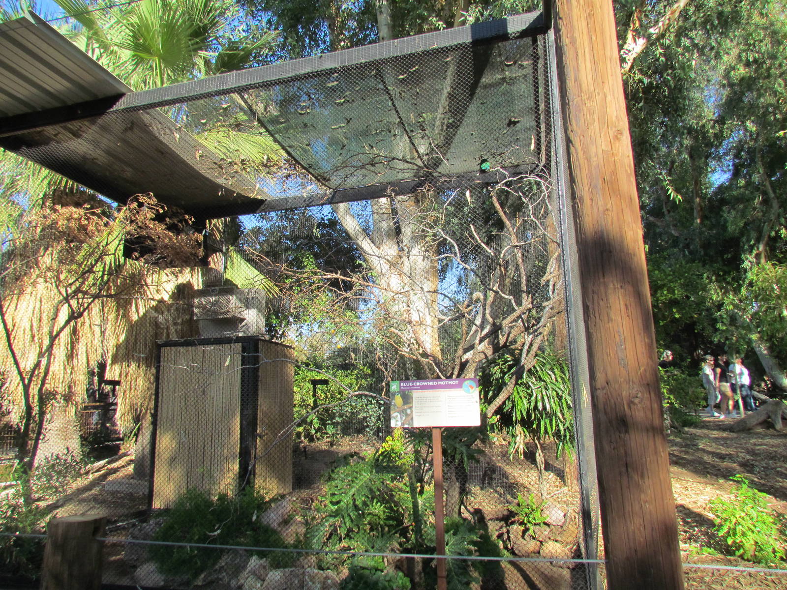 Tropics Trail - Keel-billed Toucan Aviary