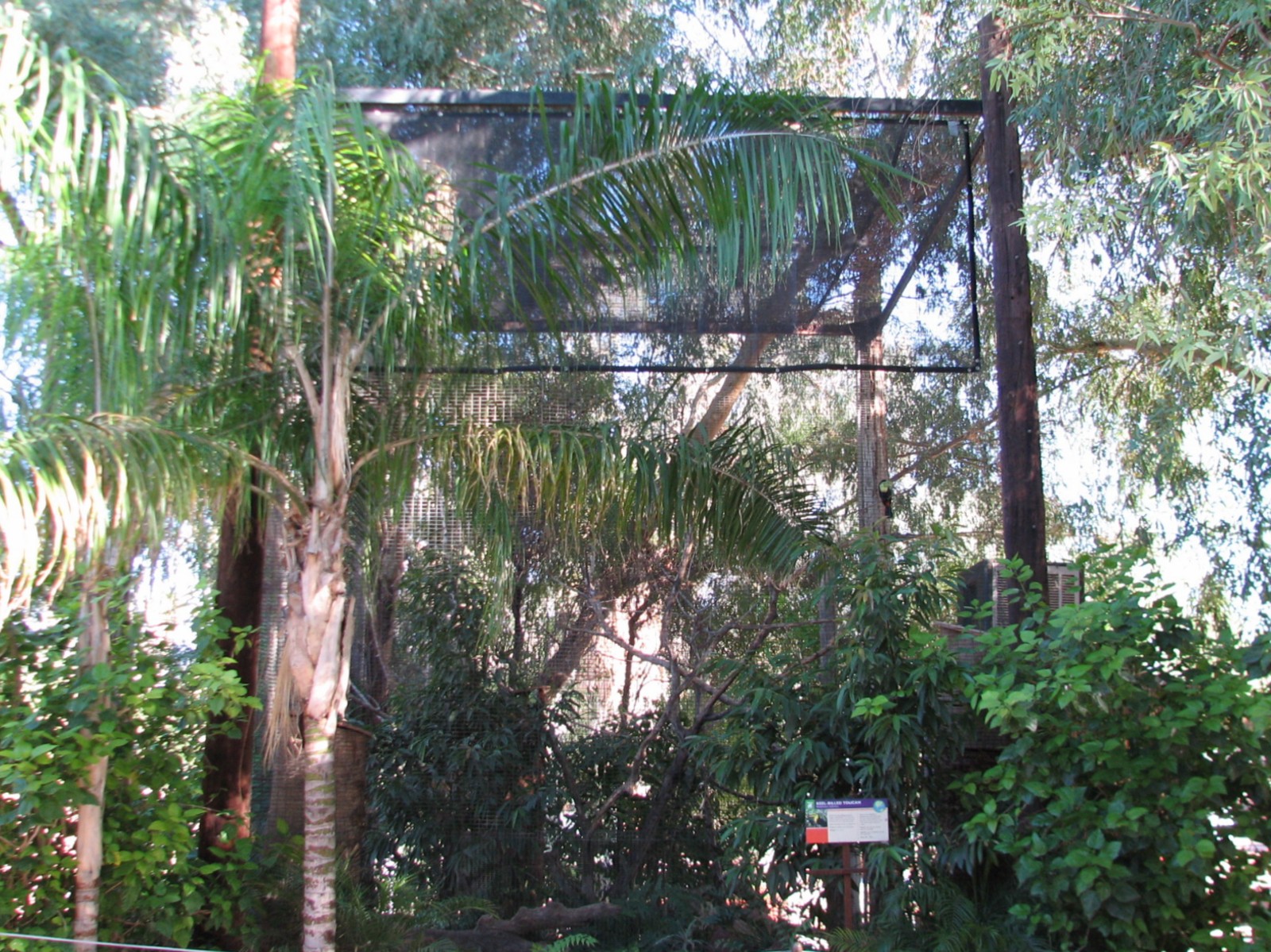 Tropics Trail - Keel-billed Toucan Exhibit
