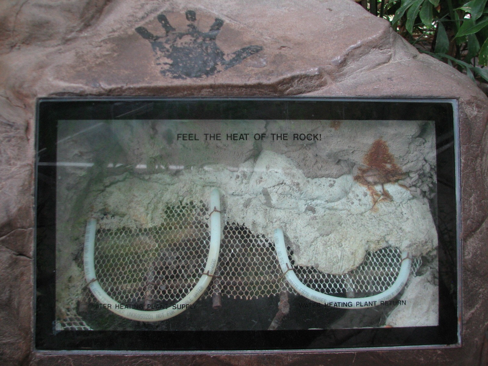 Tropics Trail - Komodo Dragon Exhibit - Heated Rock Display