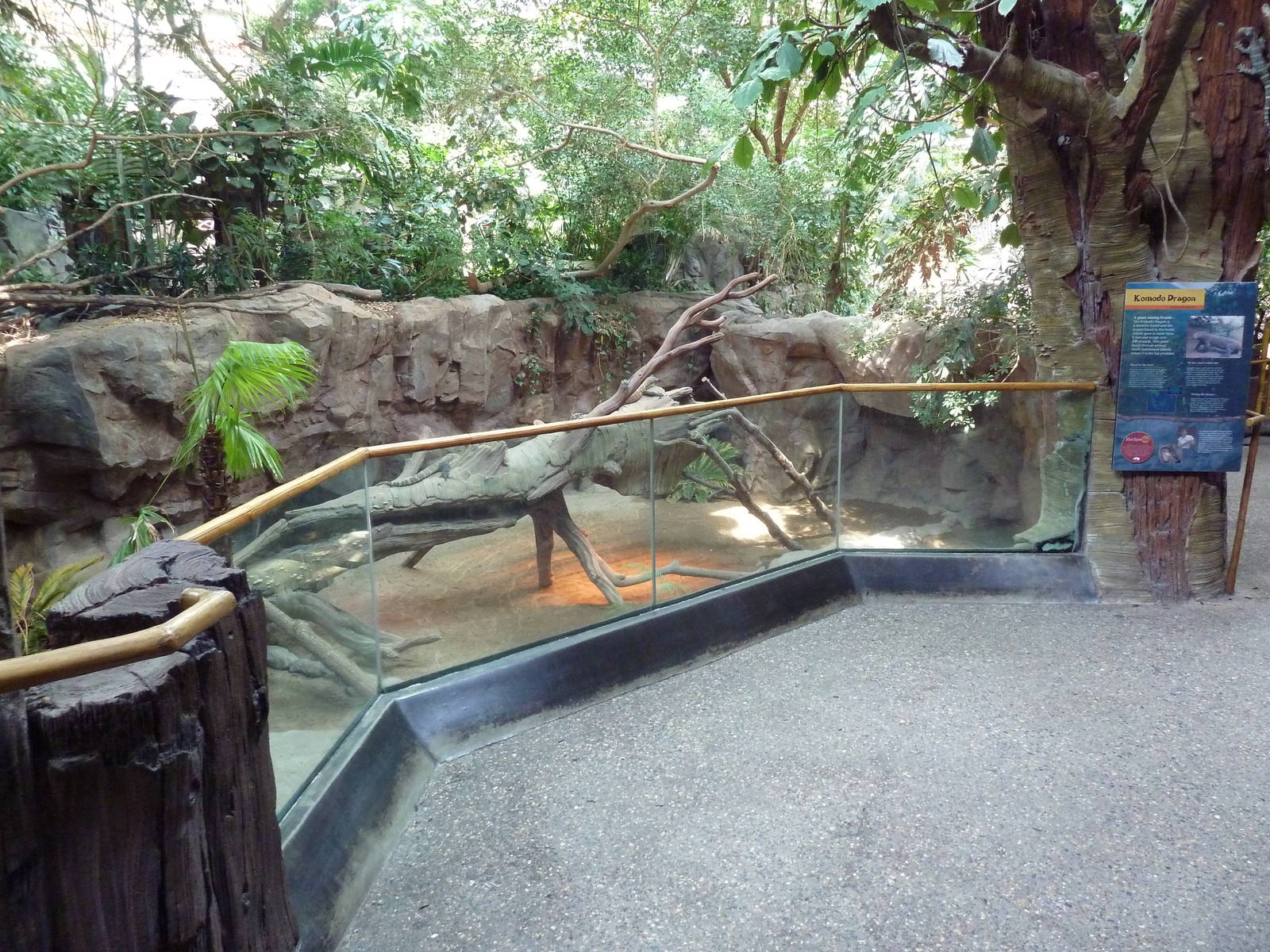Tropics Trail - Komodo Dragon Exhibit