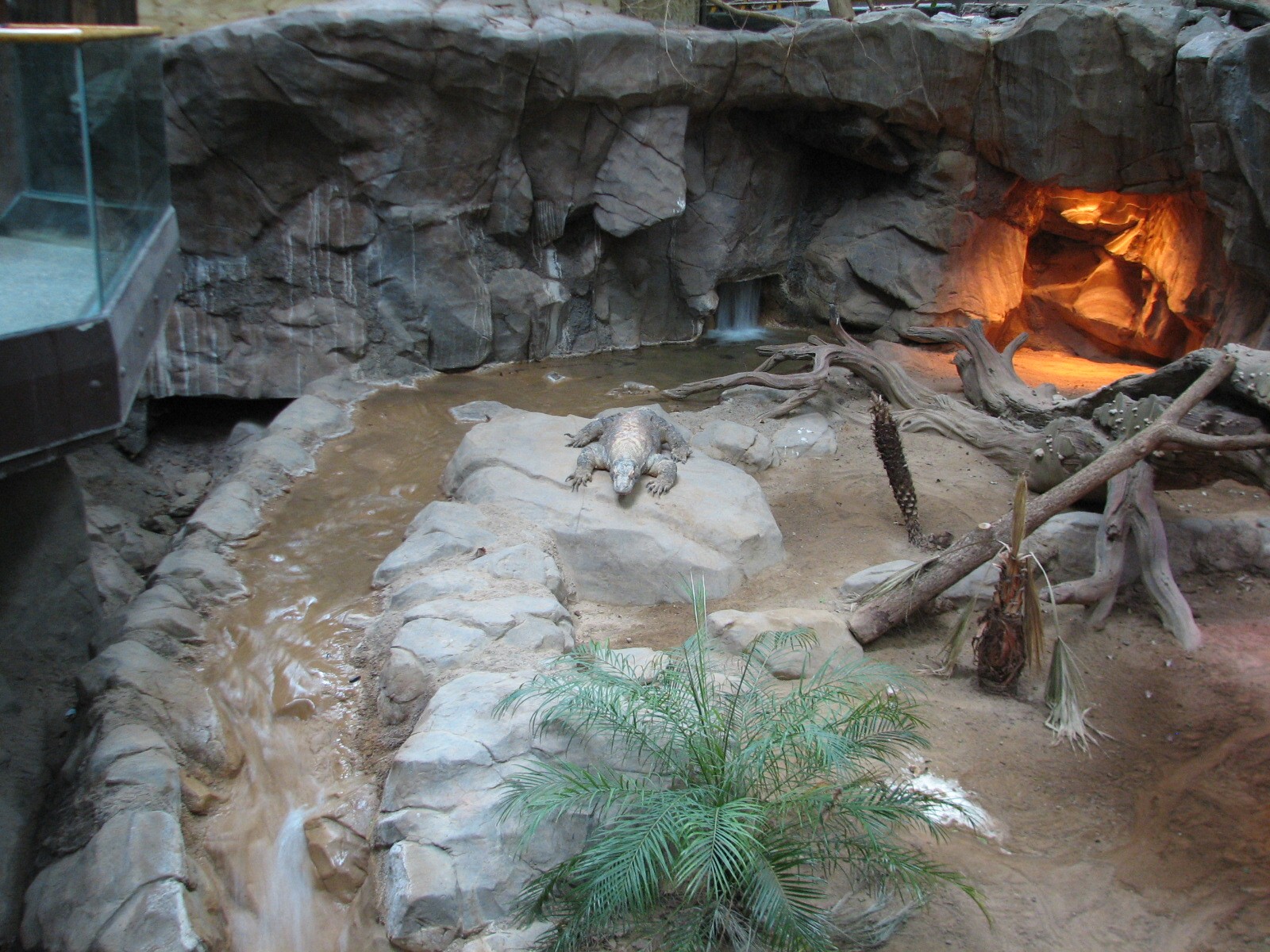 Tropics Trail - Komodo Dragon Exhibit