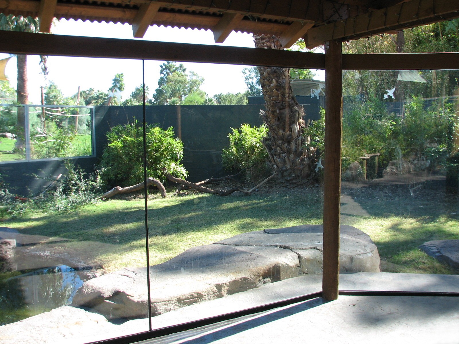 Tropics Trail - Land of the Dragons Exhibit 2