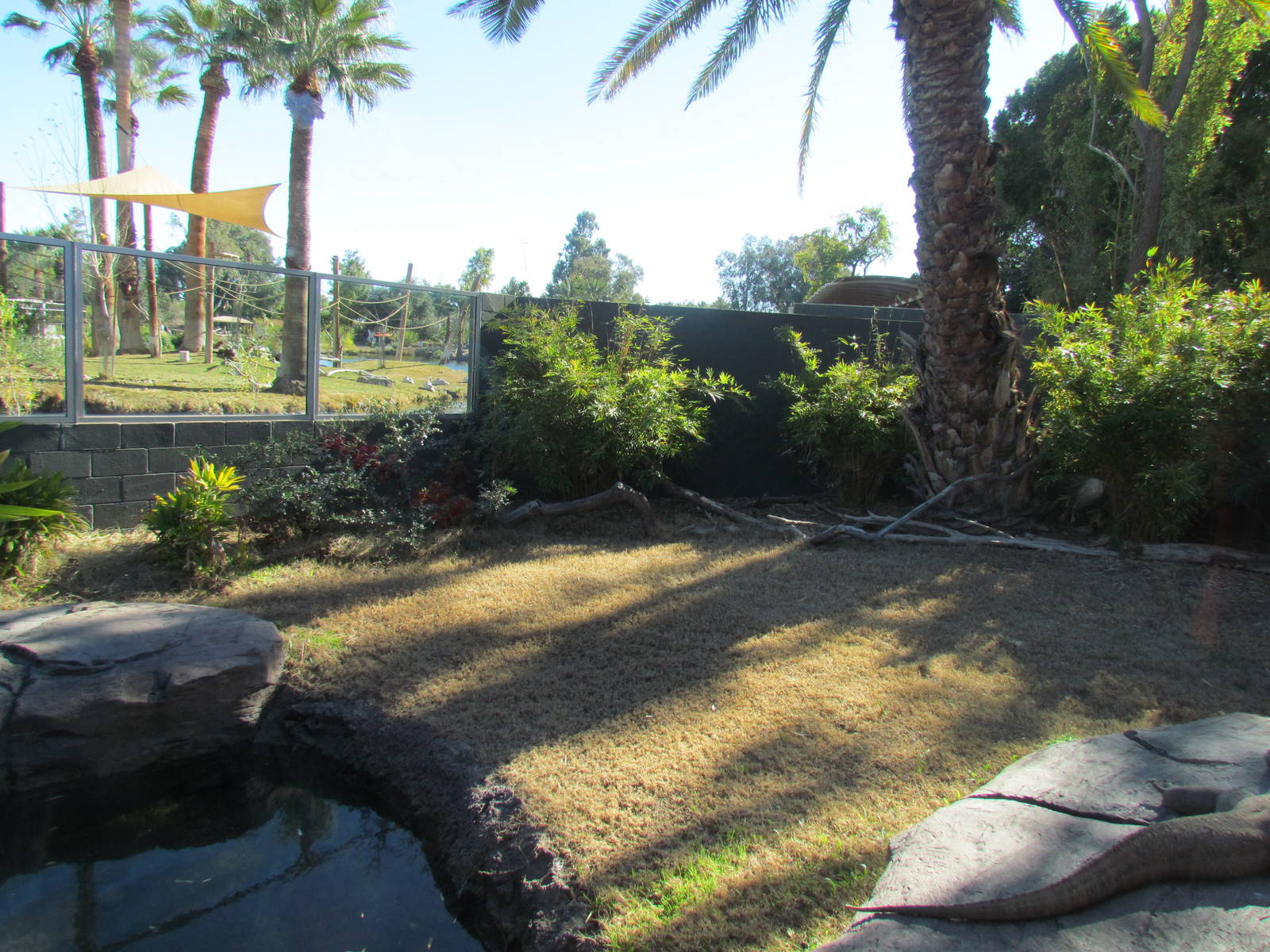 Tropics Trail - Land of the Dragons