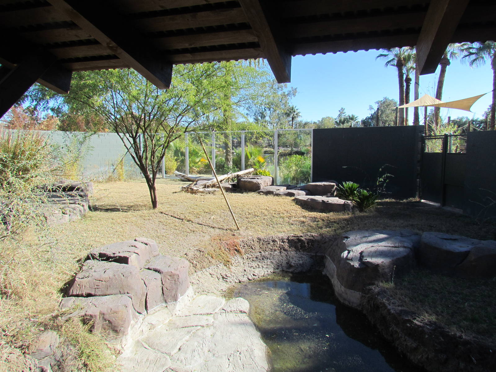 Tropics Trail - Land of the Dragons