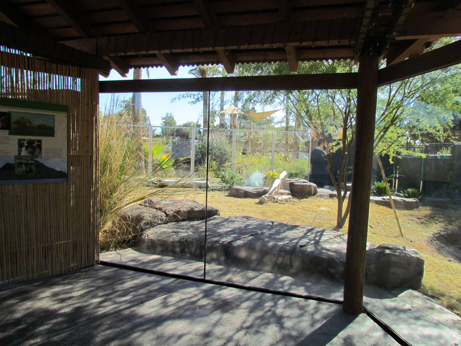 Tropics Trail - Land of the Dragons