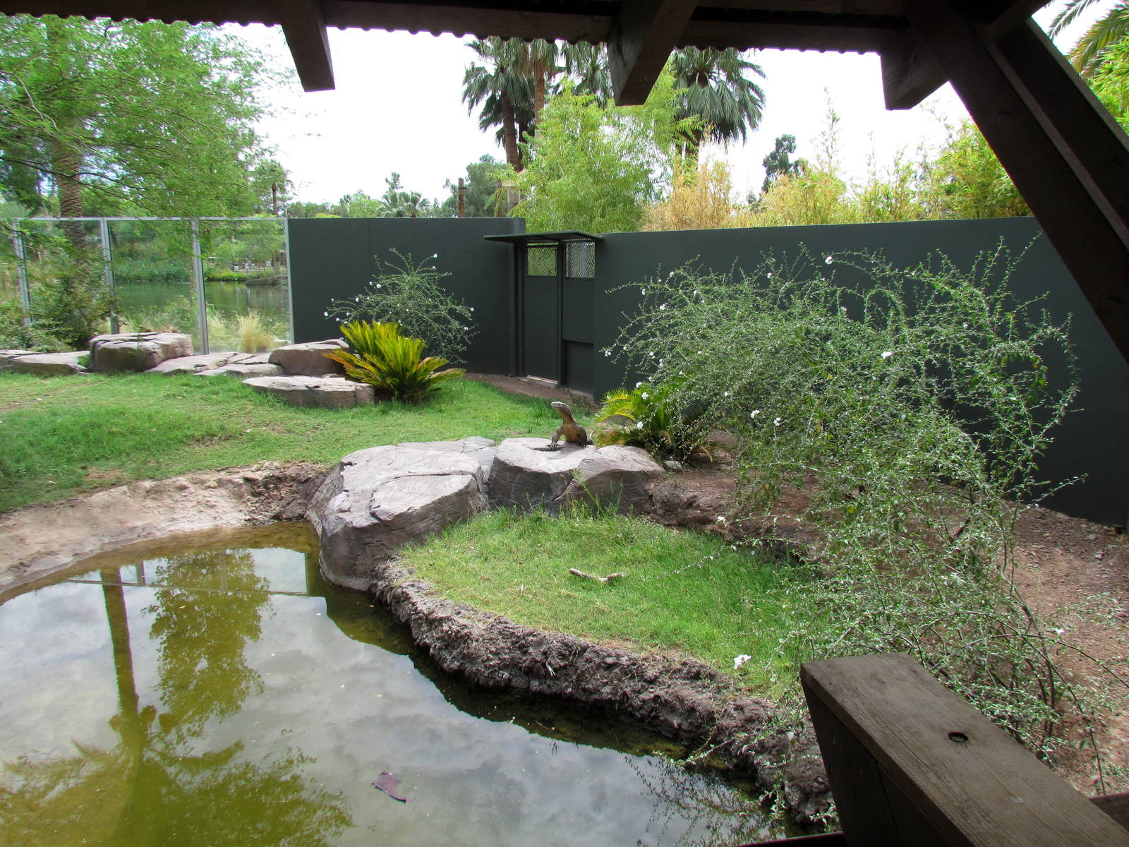 Tropics Trail - Land of the Dragons