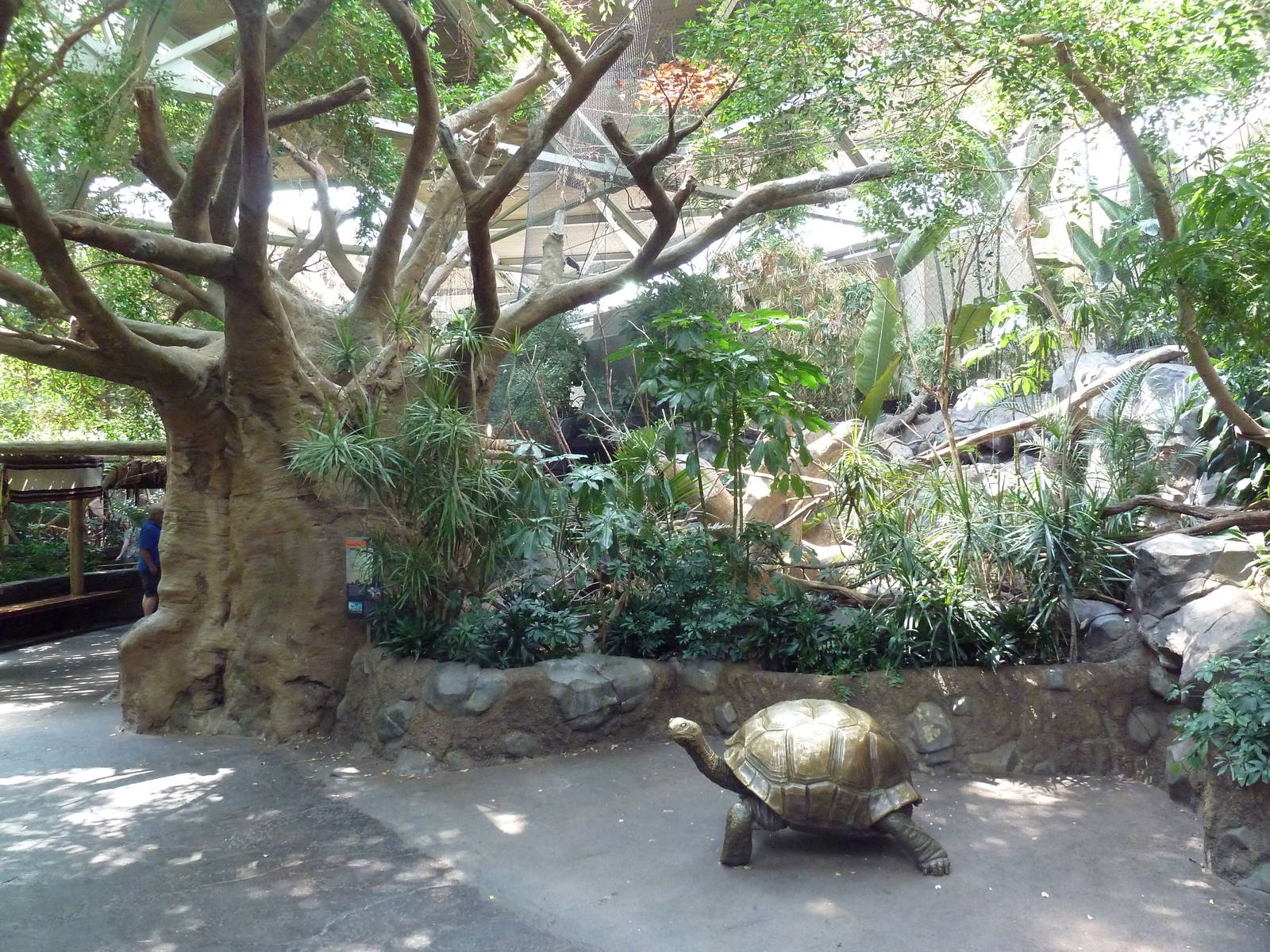 Tropics Trail - Madagascan Giant Tortoise Statue + Lemur Exhibit