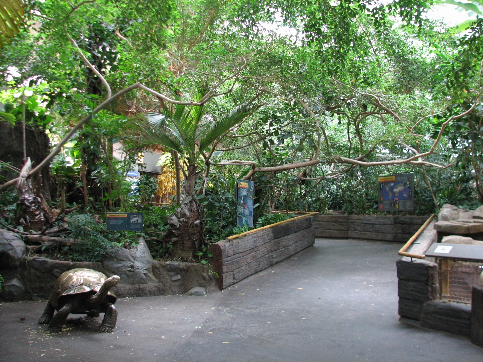 Tropics Trail - Madagascar Giant Tortoise Sculpture