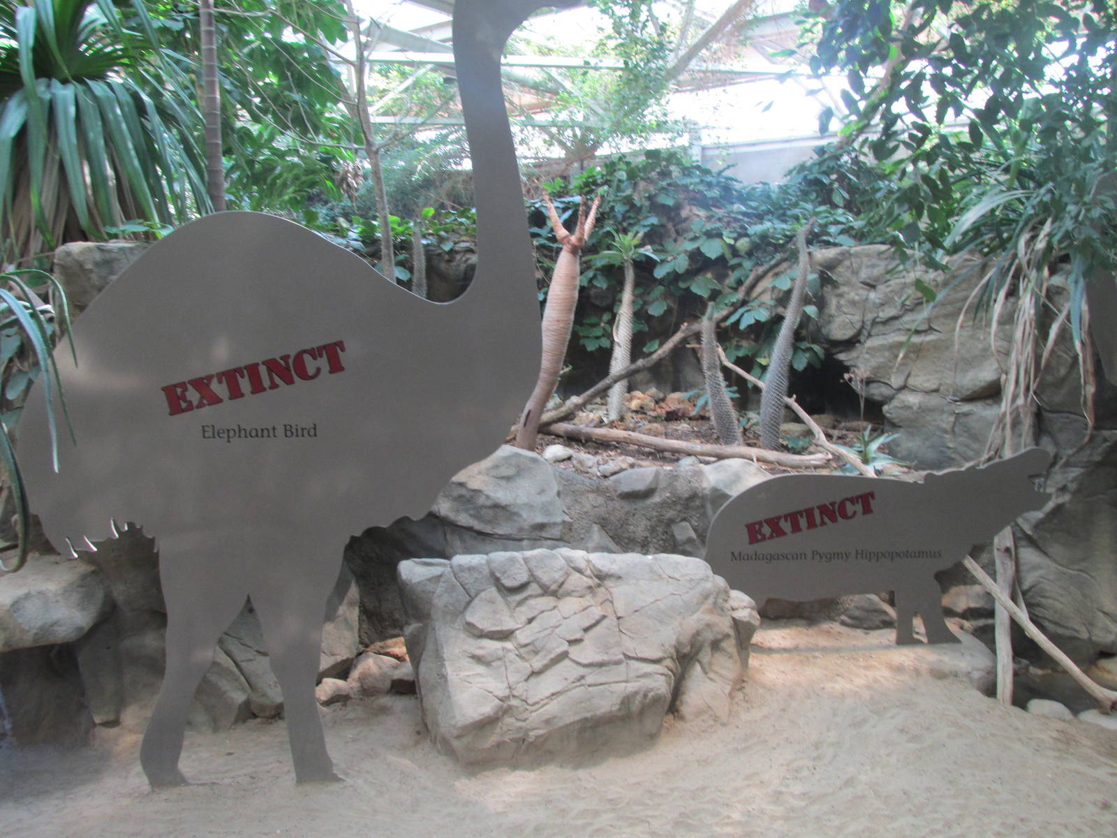 Tropics Trail Madagascar