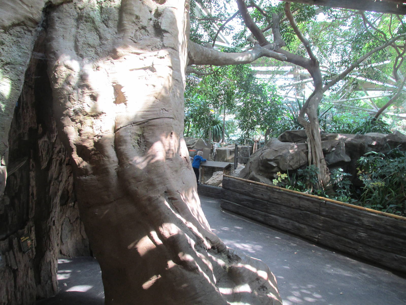 Tropics Trail Madagascar
