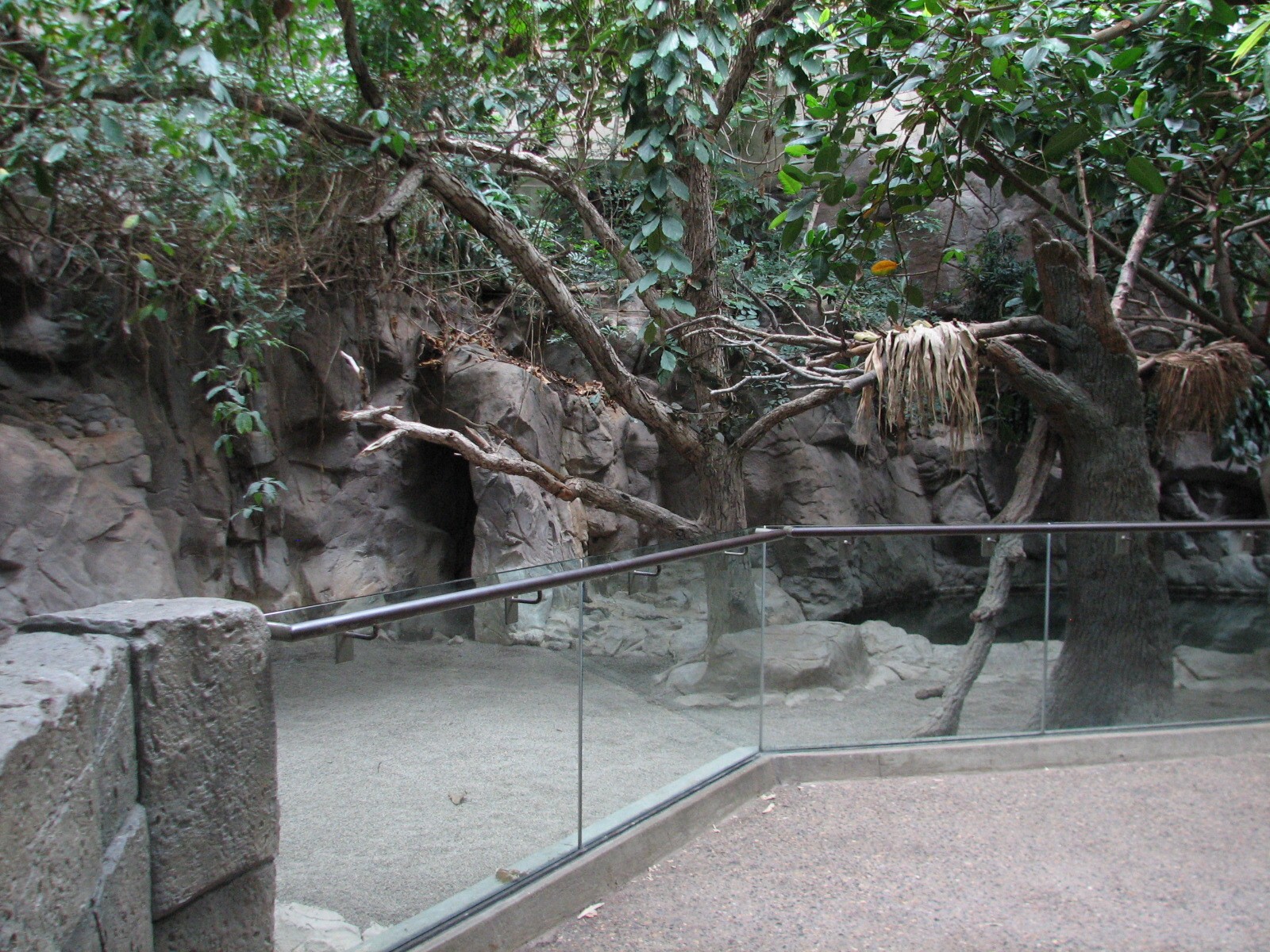 Tropics Trail - Malayan Tapir and Binturong Exhibit
