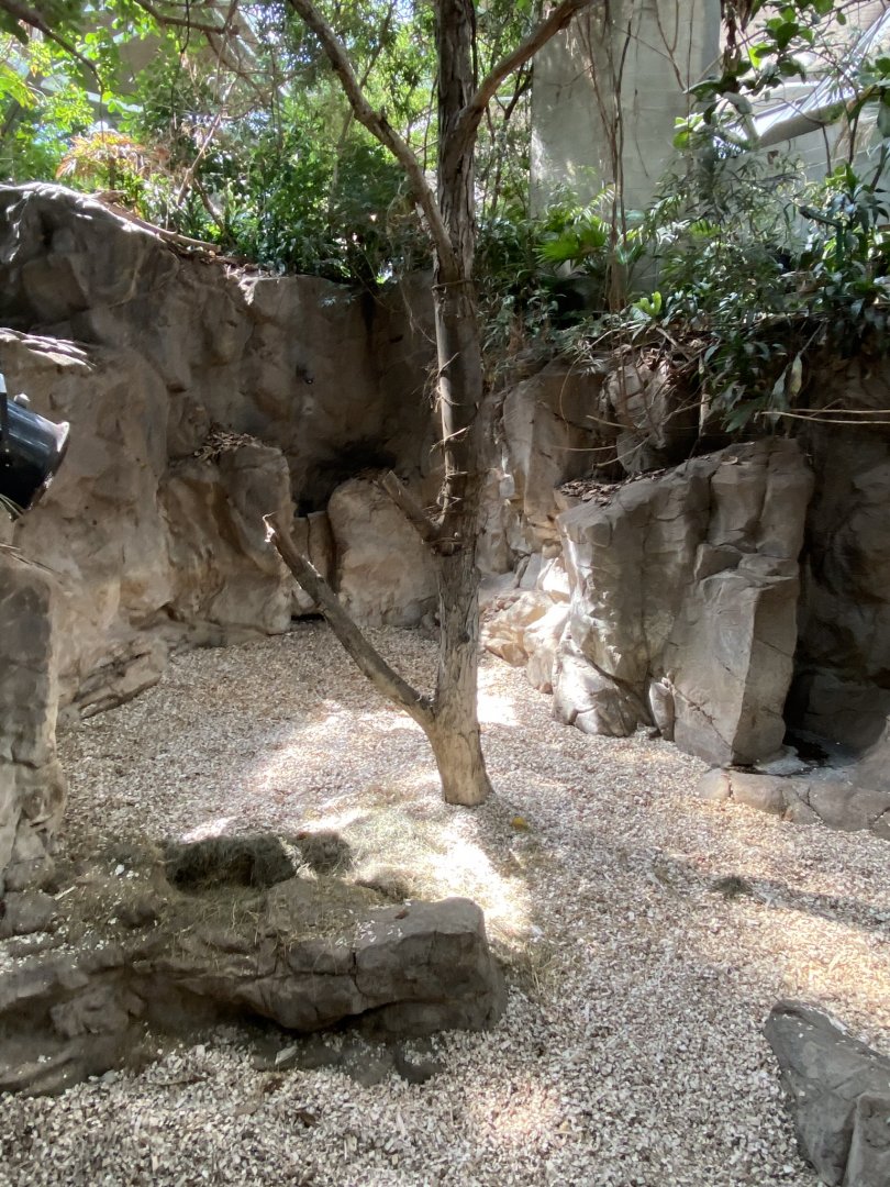 Tropics trail- Malayan tapir & demoiselle crane exhibit