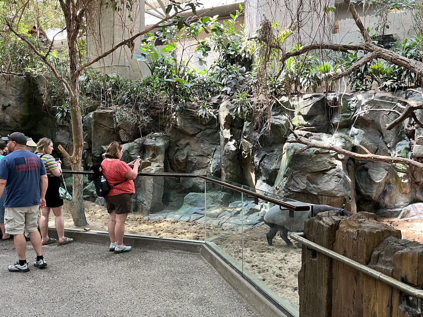 Tropics Trail - Malayan Tapir Exhibit