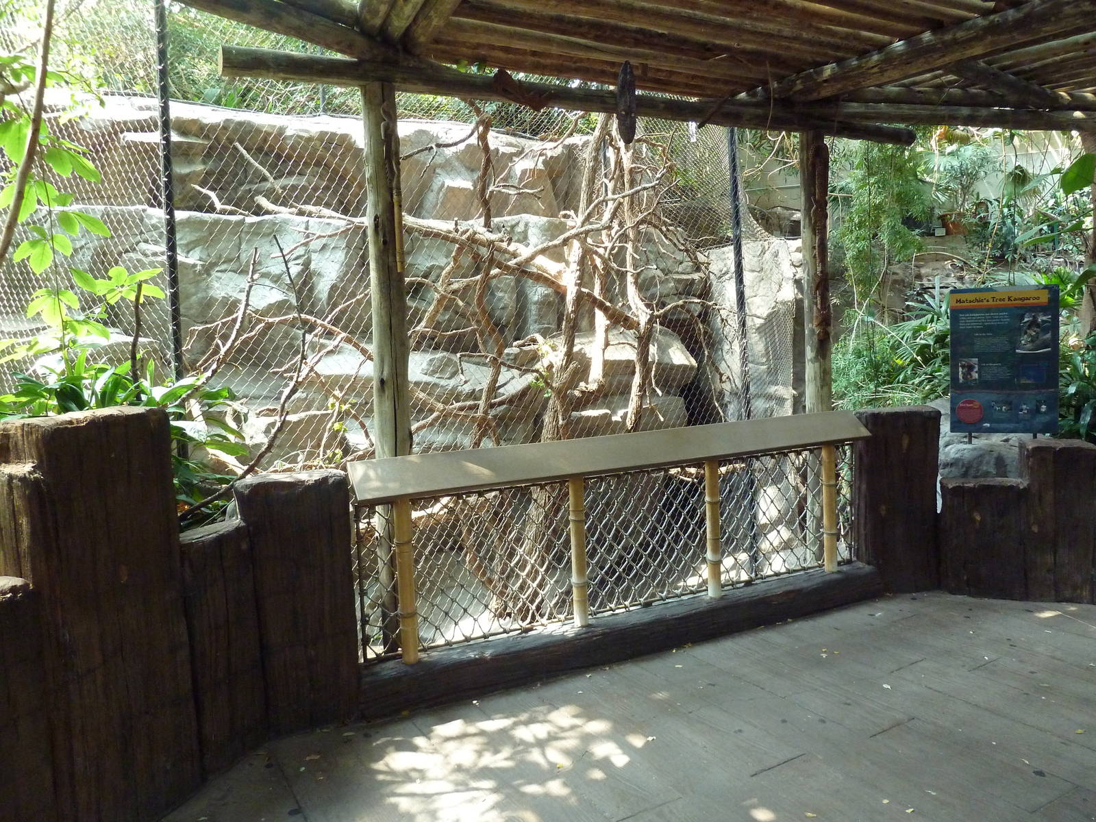 Tropics Trail - Matschie's Tree Kangaroo Exhibit