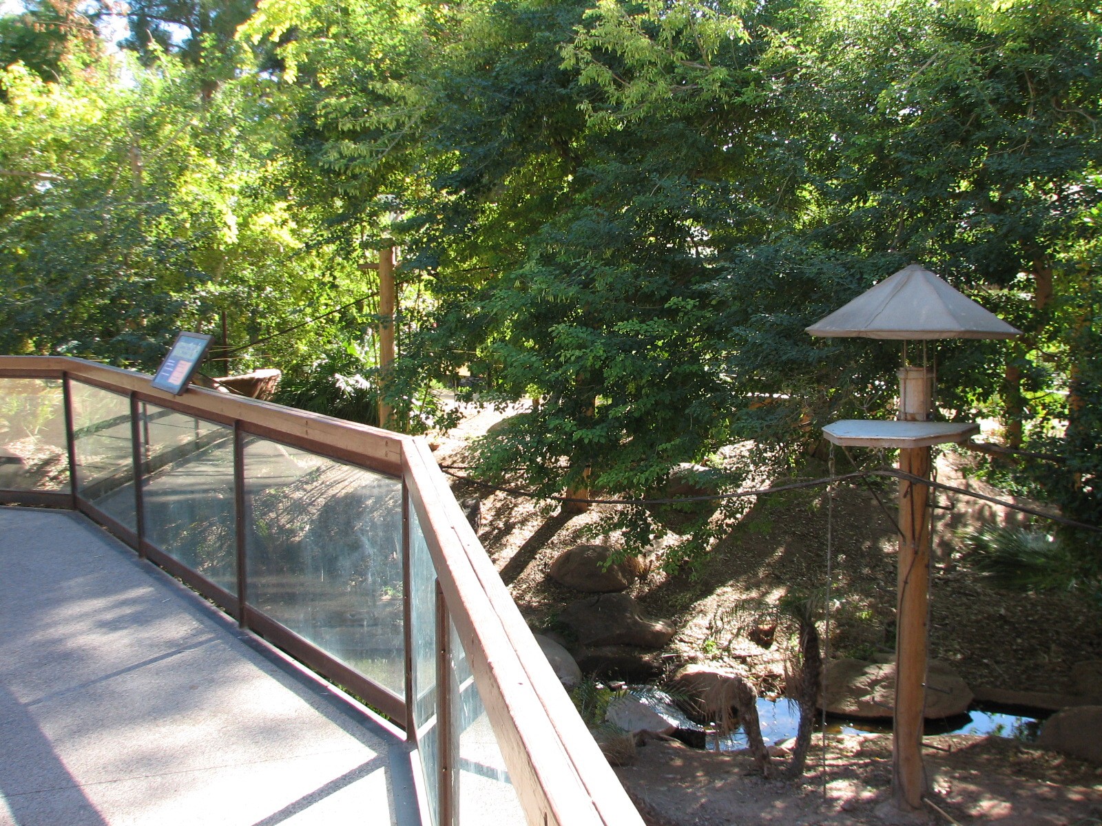 Tropics Trail - Monkey Village Viewing Area