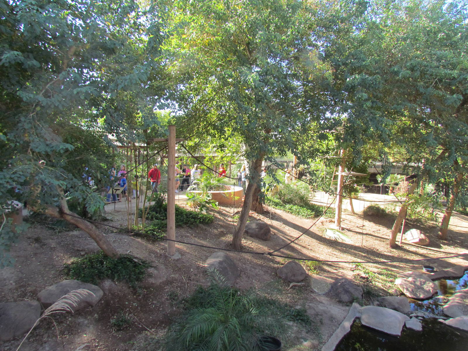 Tropics Trail - Monkey Village