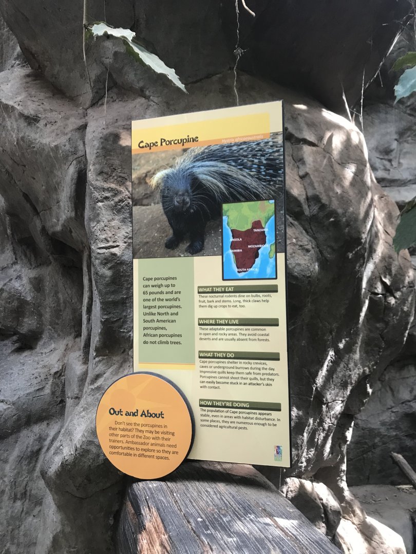 Tropics Trail - New Cape Porcupine Singage