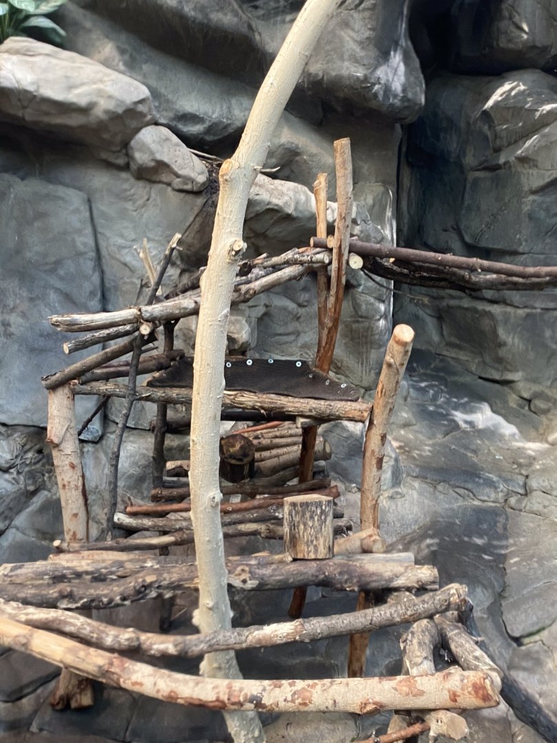 Tropics trail- new climbing structures in Asian small clawed otter exhibit