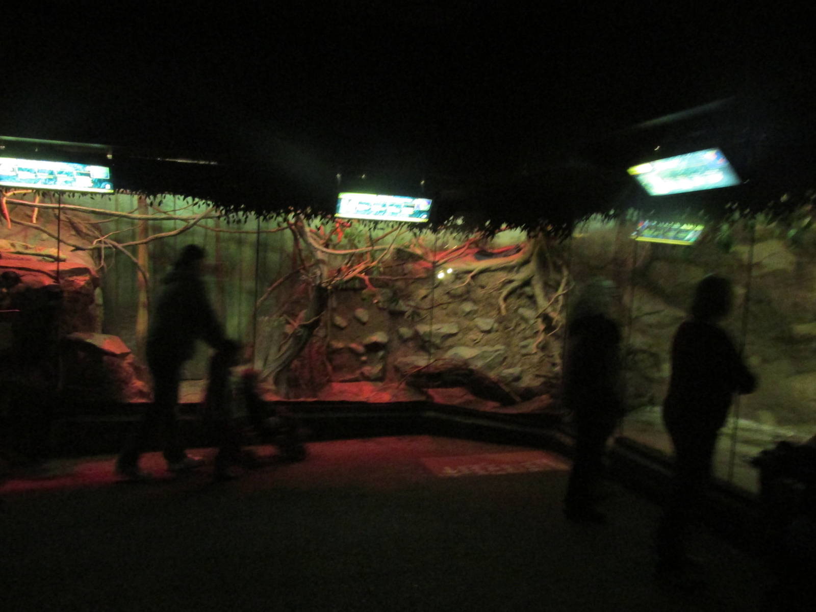 Tropics Trail Nocturnal South American Exhibits