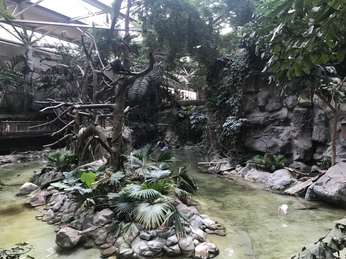 Tropics Trail - Northern White-Cheeked Gibbon Island