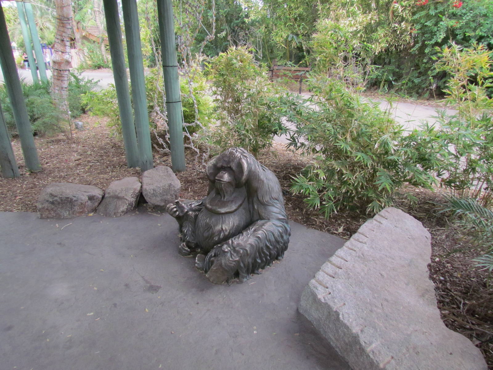 Tropics Trail - Orang Hutan: People of the Forest