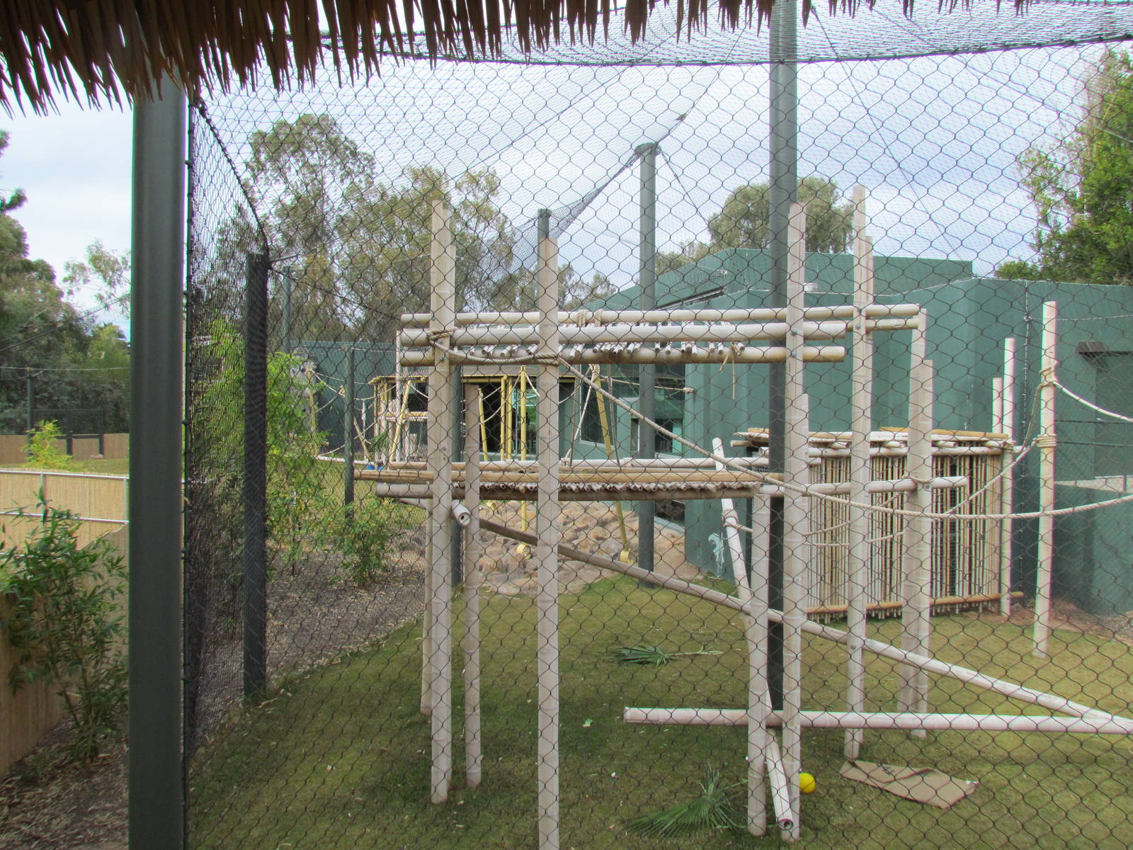 Tropics Trail - Orang Hutan: People of the Forest