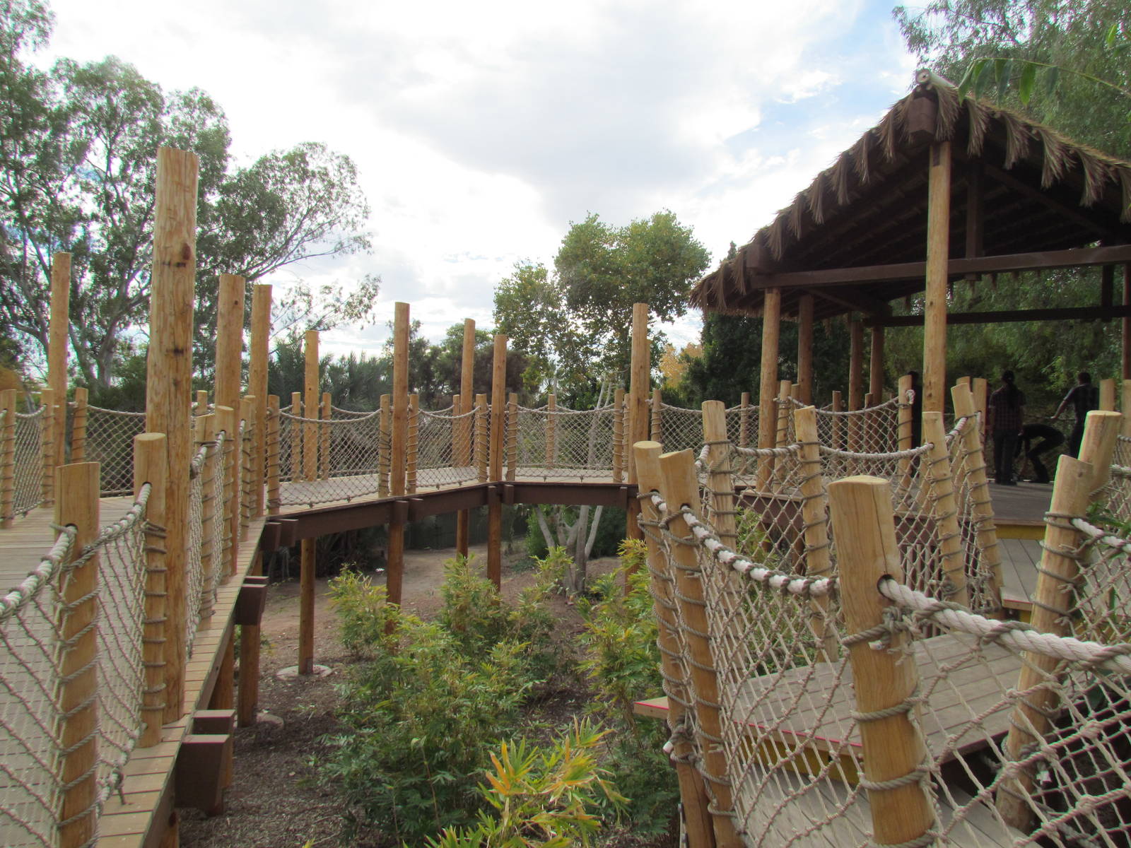 Tropics Trail - Orang Hutan: People of the Forest