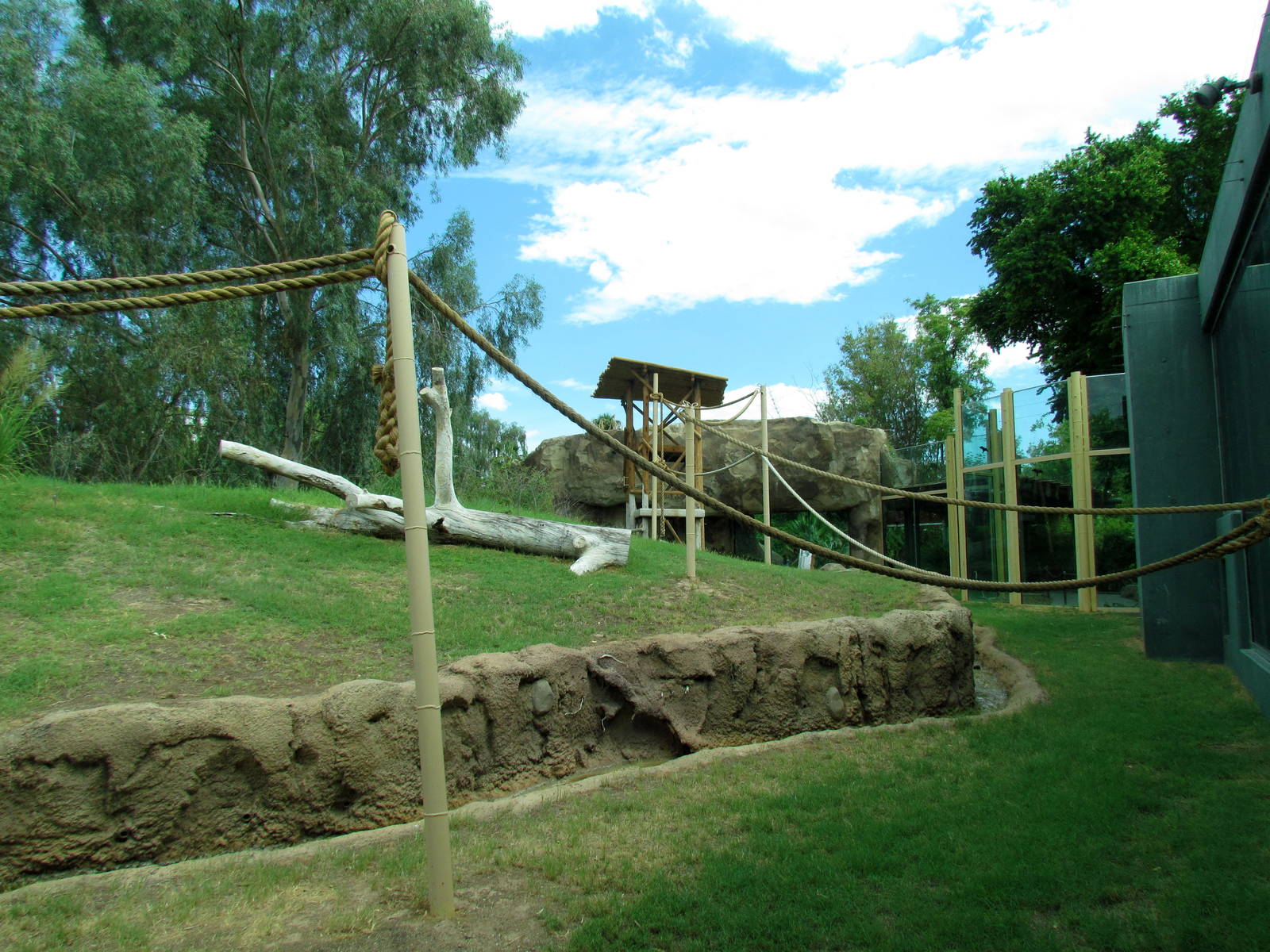 Tropics Trail - Orang Hutan