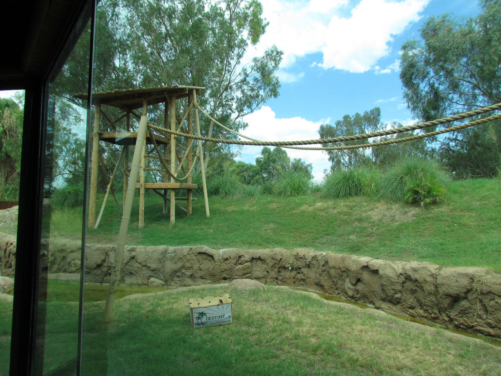 Tropics Trail - Orang Hutan