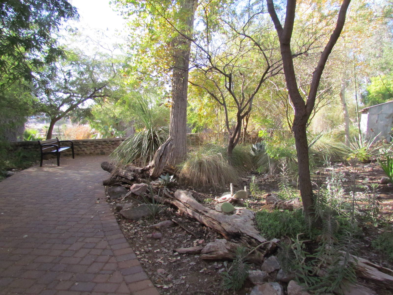 Tropics Trail - Path