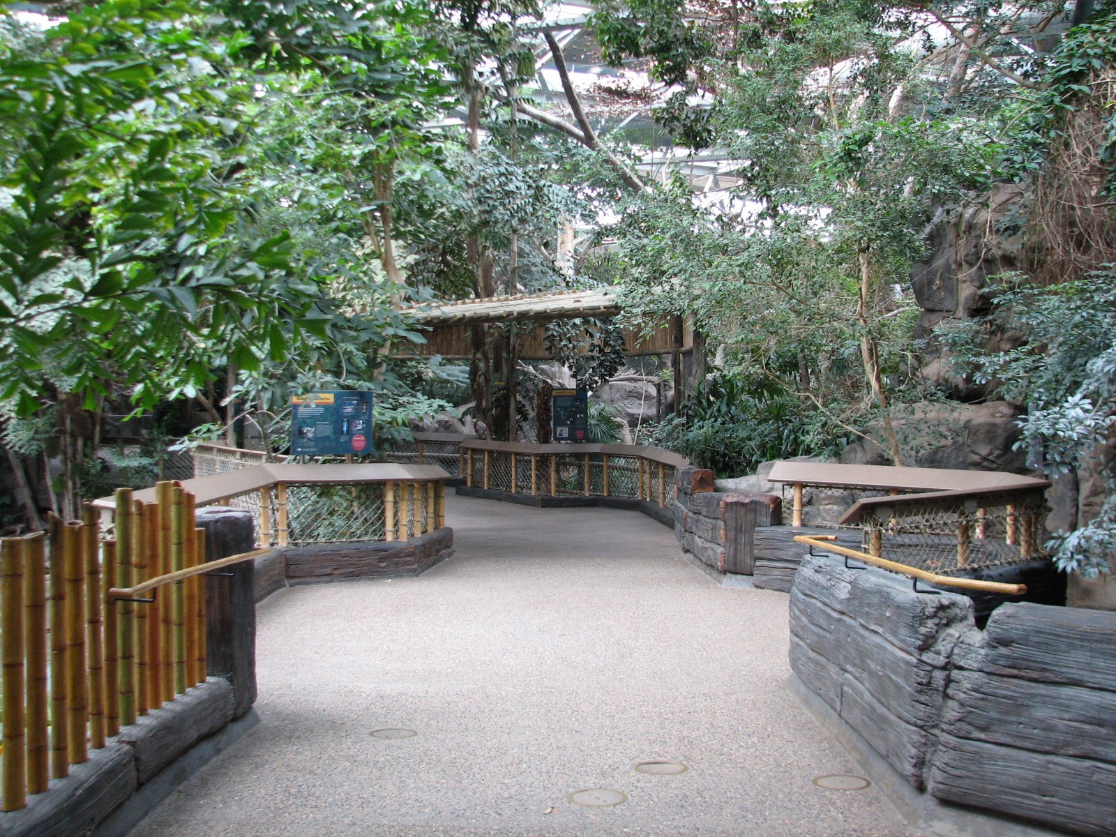 Tropics Trail - Path