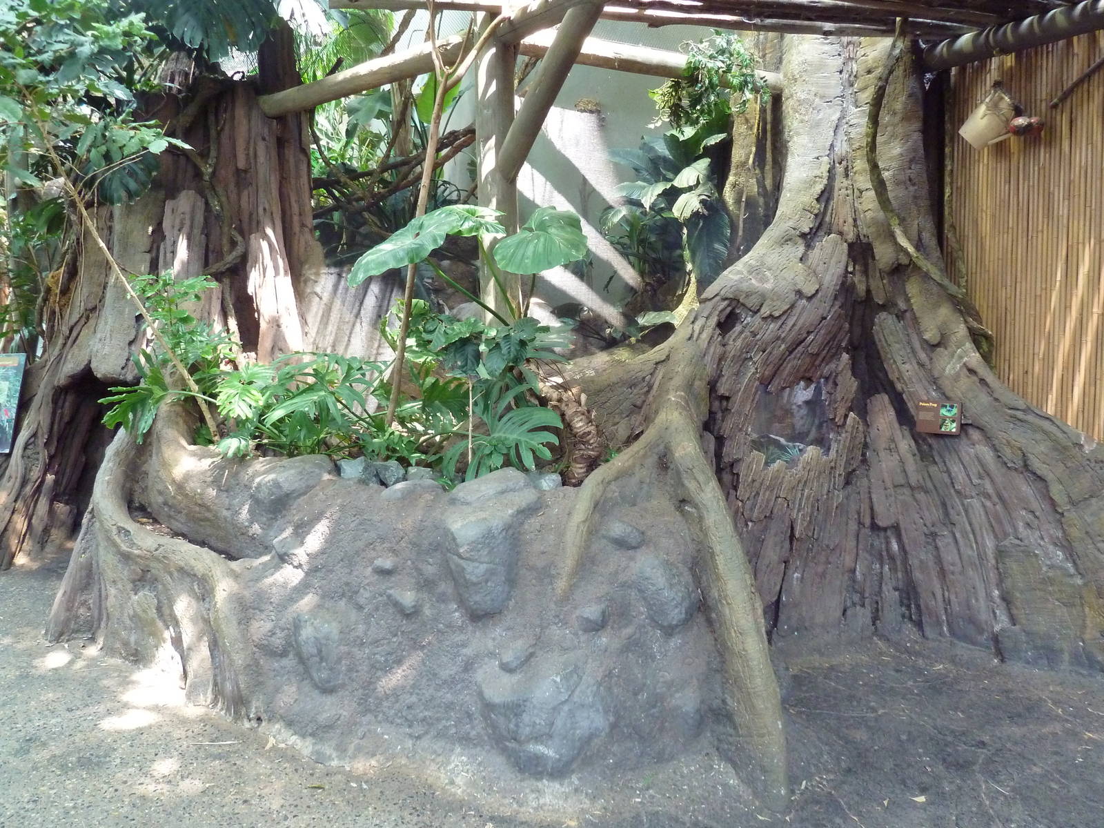 Tropics Trail - Poison Dart Frog Terrarium (on right-hand side)