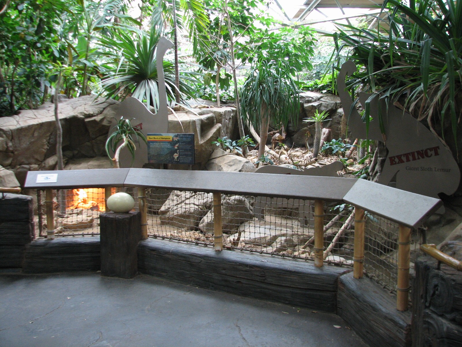 Tropics Trail - Radiated Tortoise Exhibit