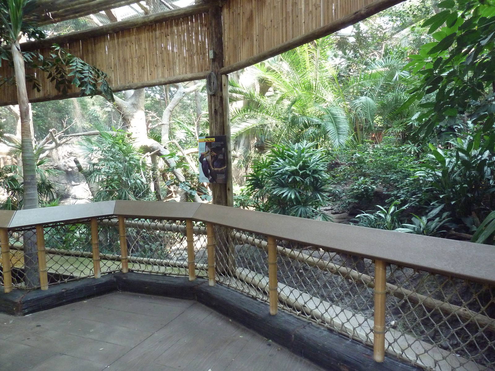 Tropics Trail - Rhinoceros Hornbill Exhibit