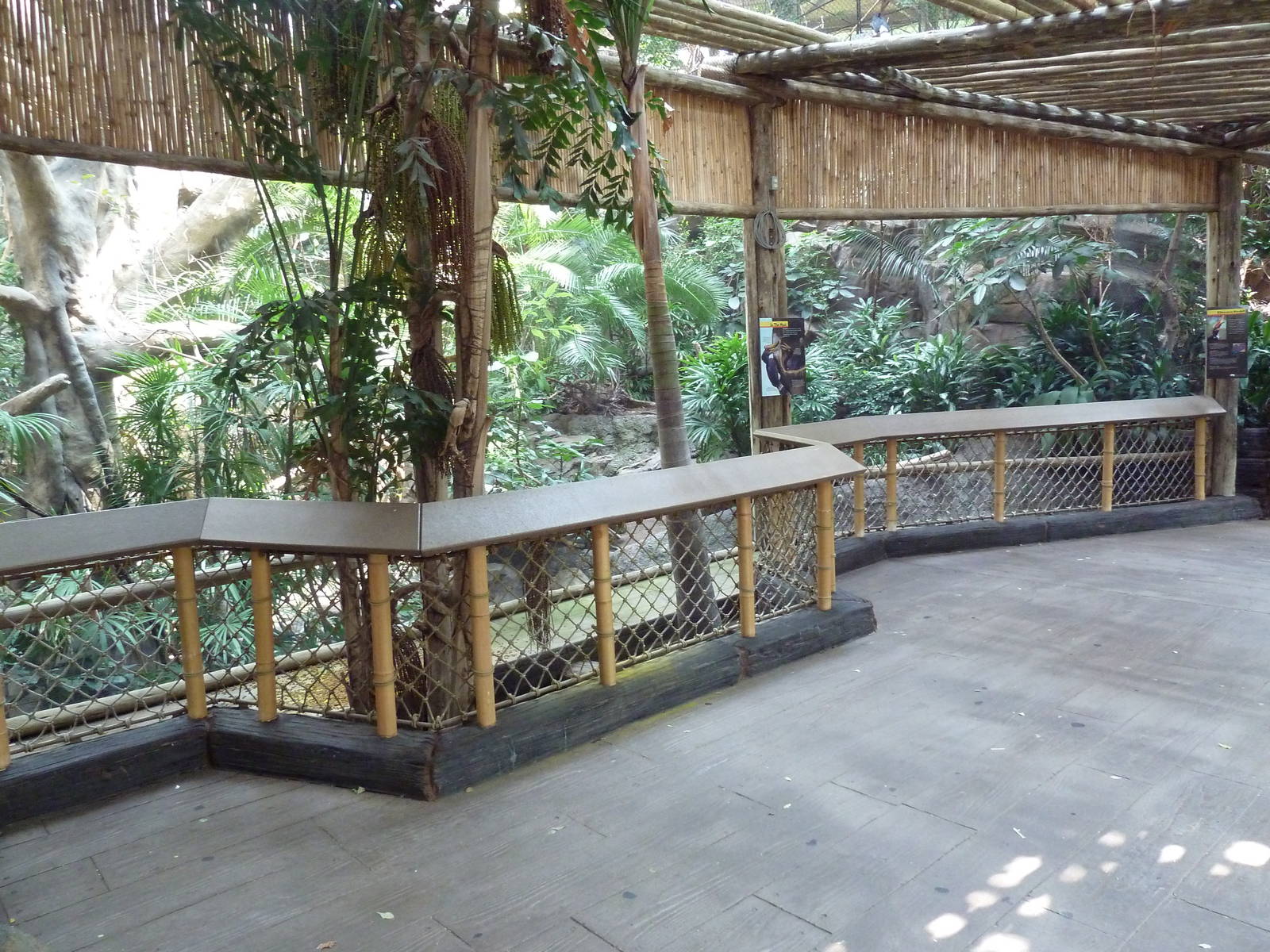 Tropics Trail - Rhinoceros Hornbill Exhibit