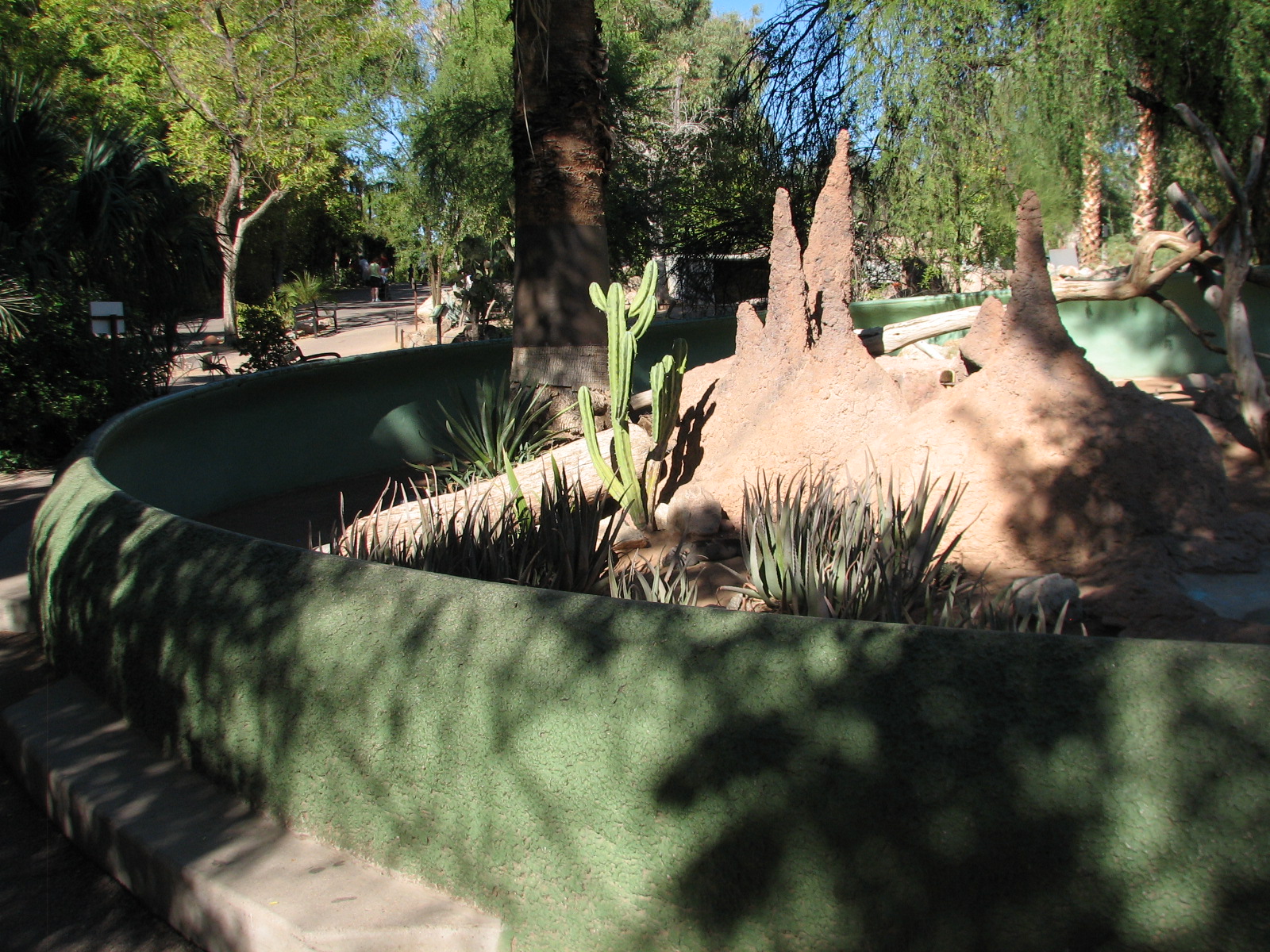 Tropics Trail - Rhinoceros Iguana Exhibit