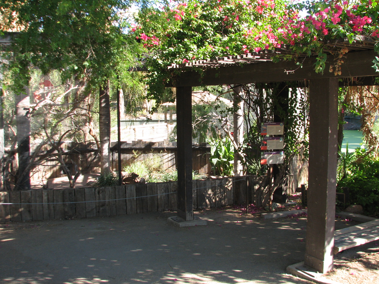 Tropics Trail - Roseate Spoonbill, Scarlet Ibis, and Black-necked Stilt Exh