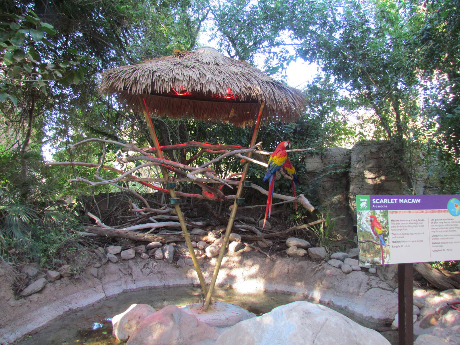 Tropics Trail - Scarlet Macaw Exhibit