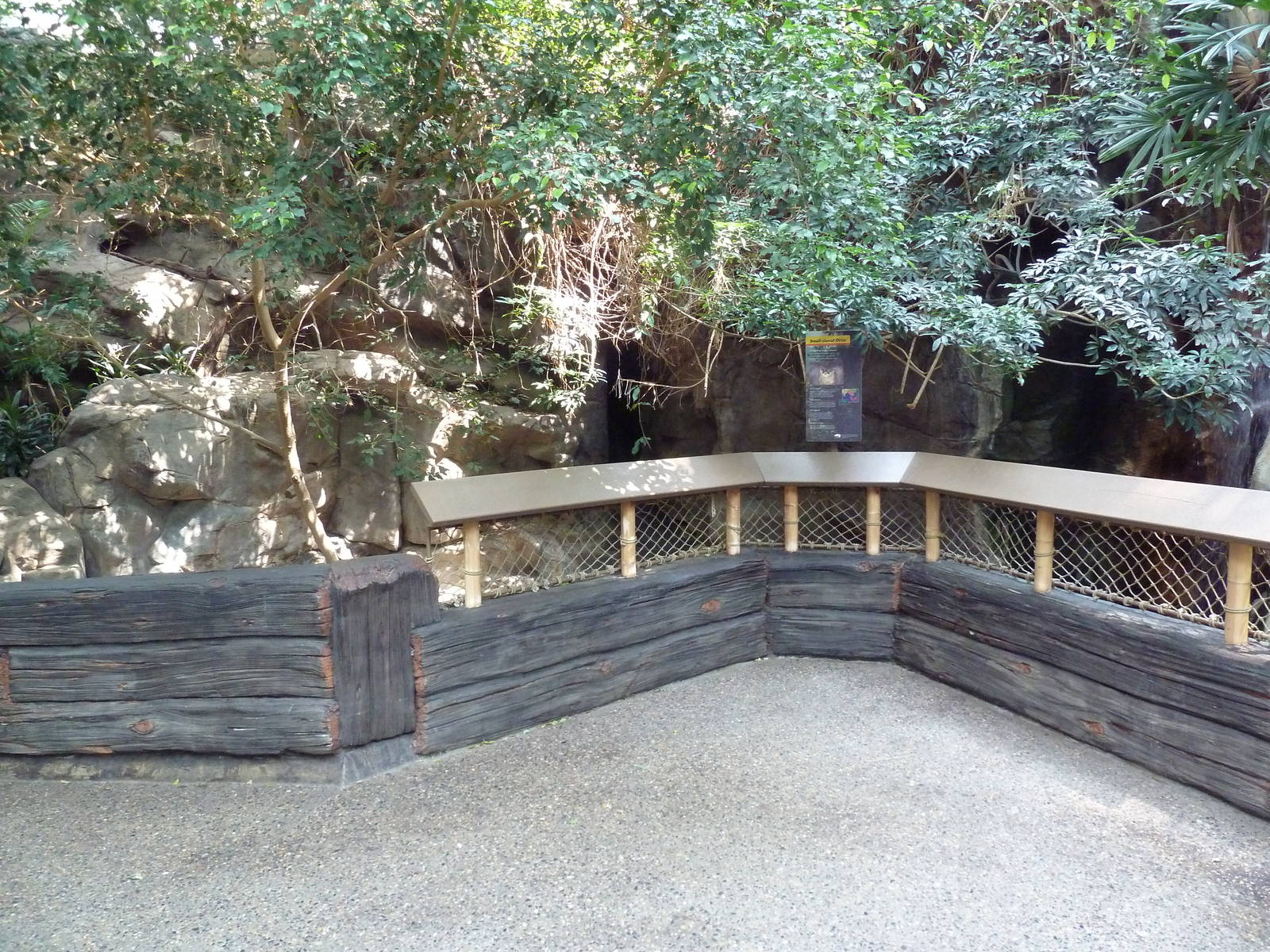 Tropics Trail - Small-Clawed Otter Exhibit